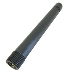 AA250202SP